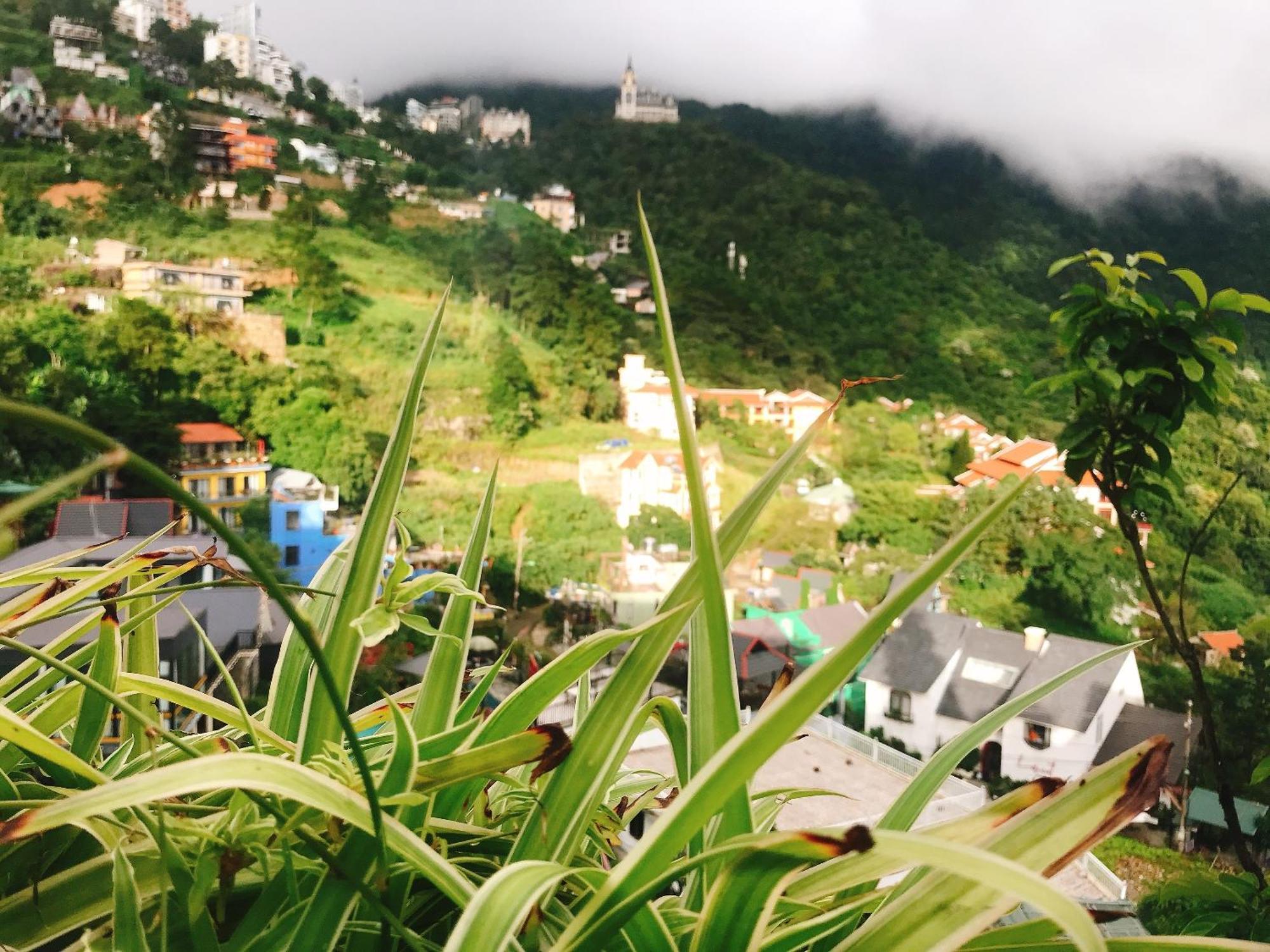Nha Tren May - Homstay Tam Dao ภายนอก รูปภาพ